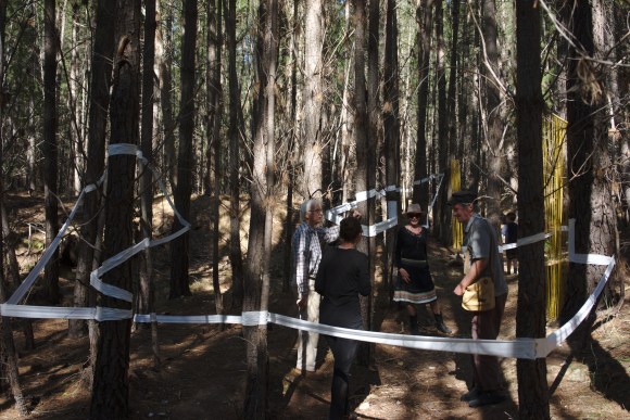 Developed using darktable 2.6.2