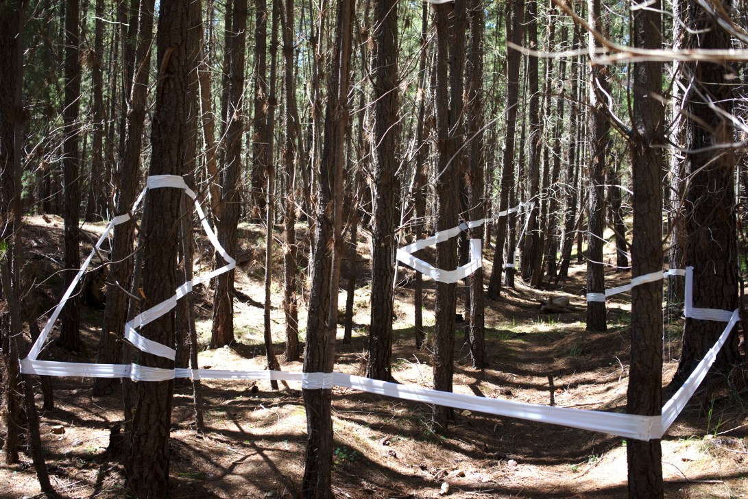 Developed using darktable 2.6.2