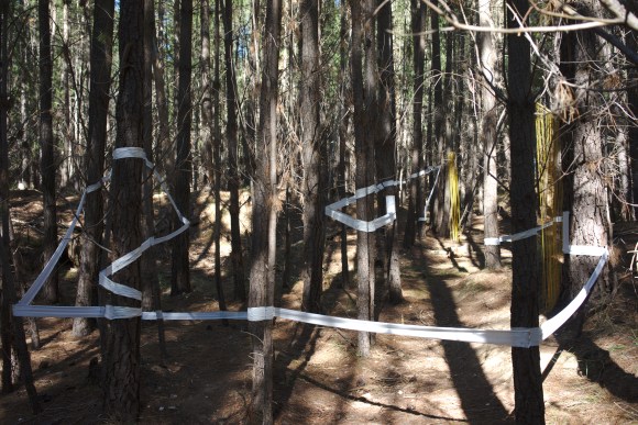 Developed using darktable 2.6.2