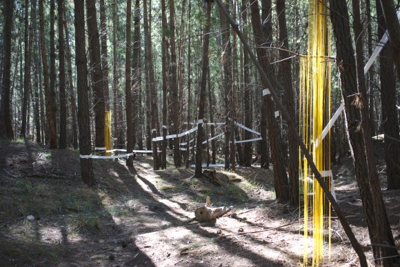 Developed using darktable 2.6.2