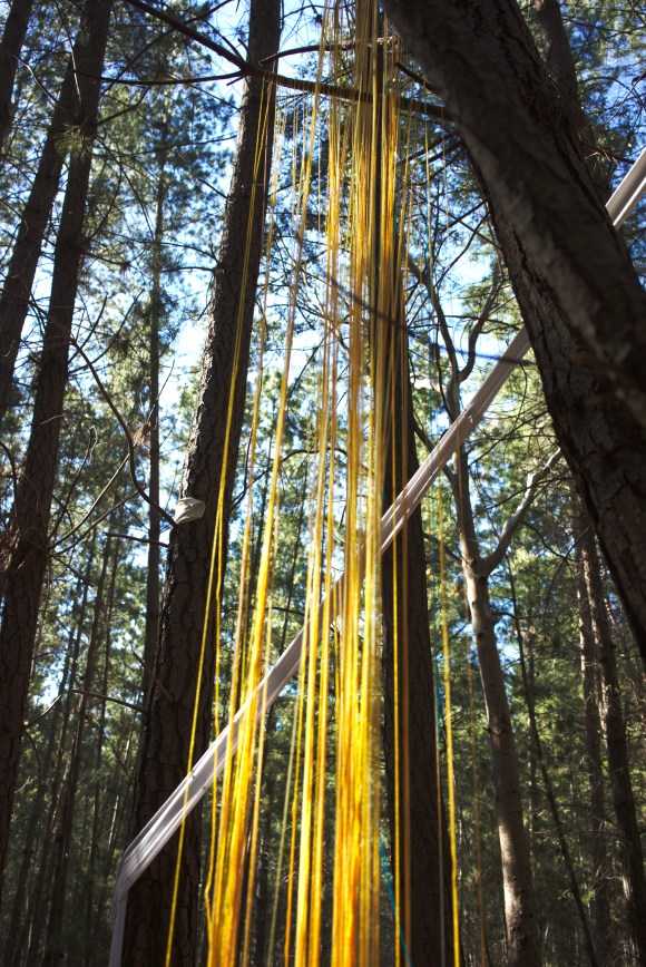 Developed using darktable 2.6.2